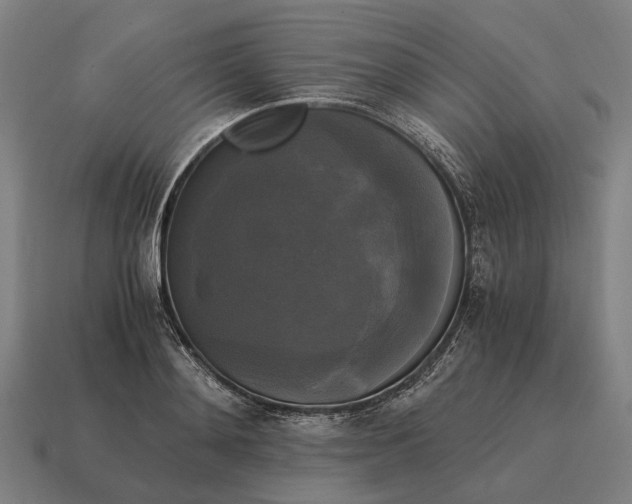 X0000115100892200911101542