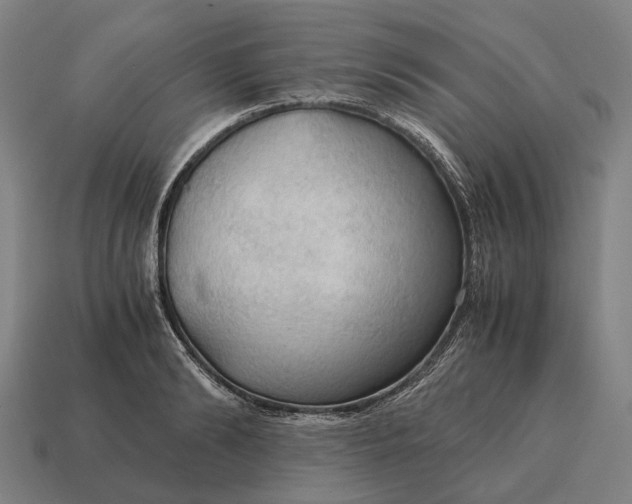 X0000115100894200911101542