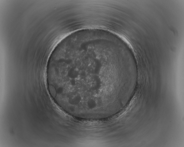 X0000115100895200911101542