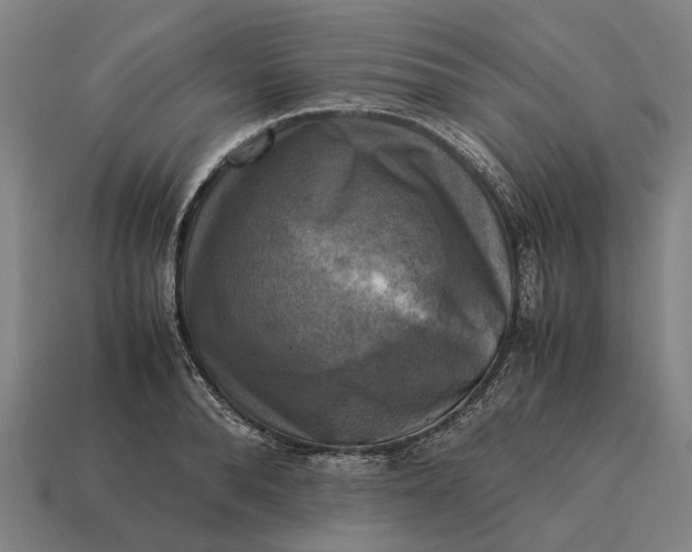 X0000115100896200911101542