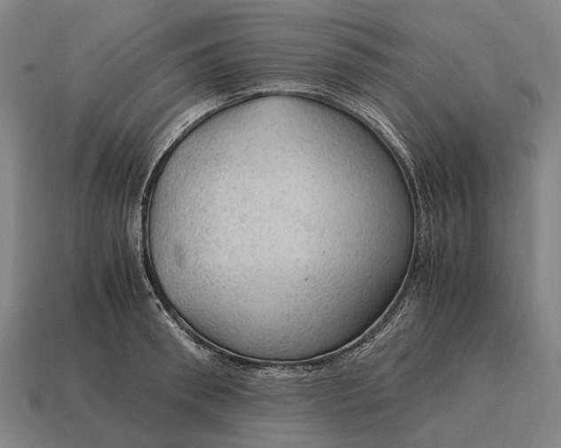 X0000115100898200911101542