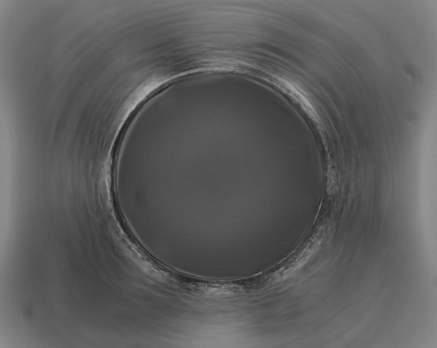 X0000115100899200911101542