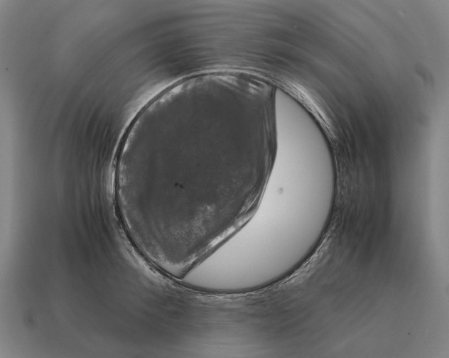 X0000115100900200911101542