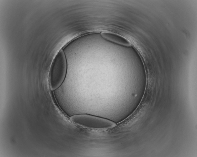 X0000115100901200911101542