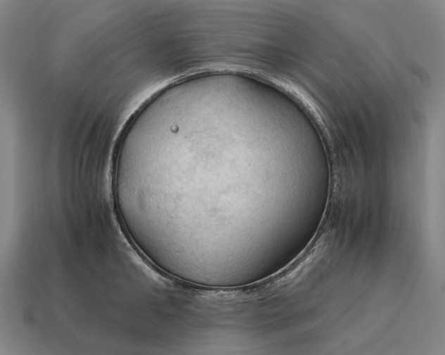 X0000115100902200911101542