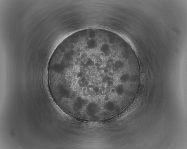X0000115100903200911101542