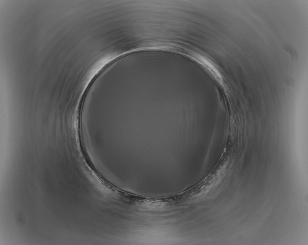X0000115100907200911101542