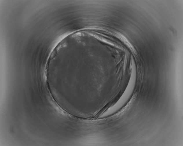 X0000115100908200911101542