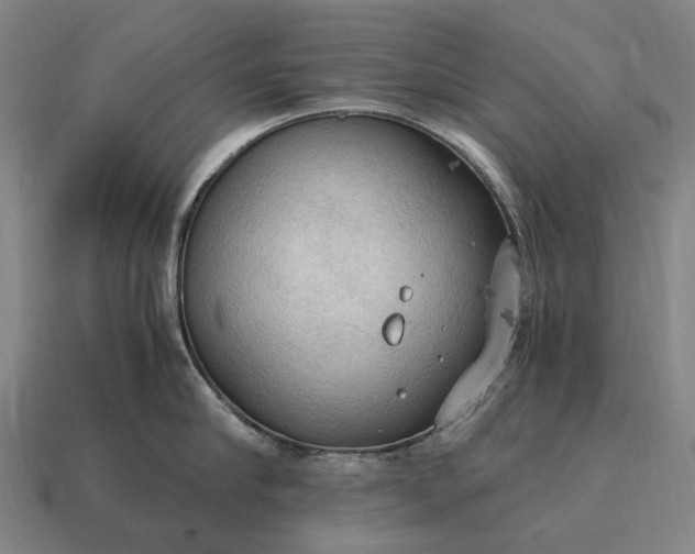 X0000115100910200911101542