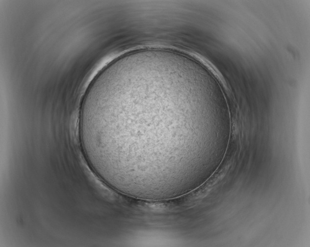 X0000115100911200911101542
