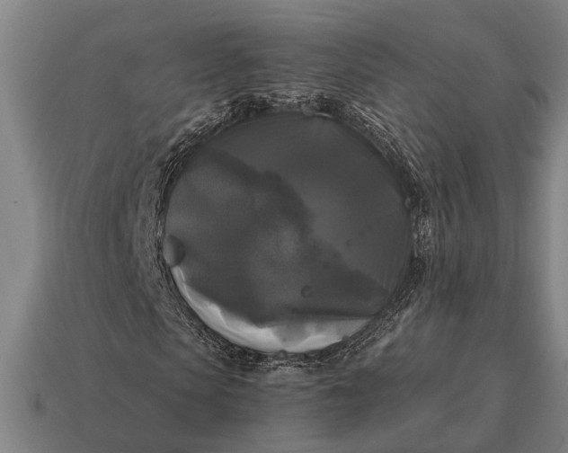 X0000115100913200911101541