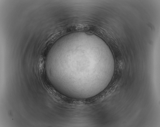 X0000115100914200911101541