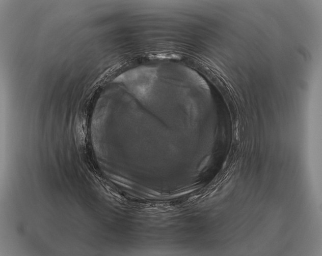 X0000115100915200911101541
