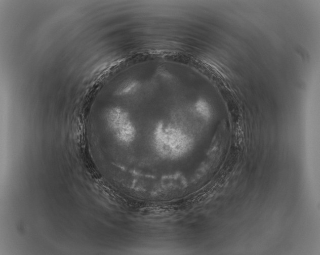 X0000115100917200911101541