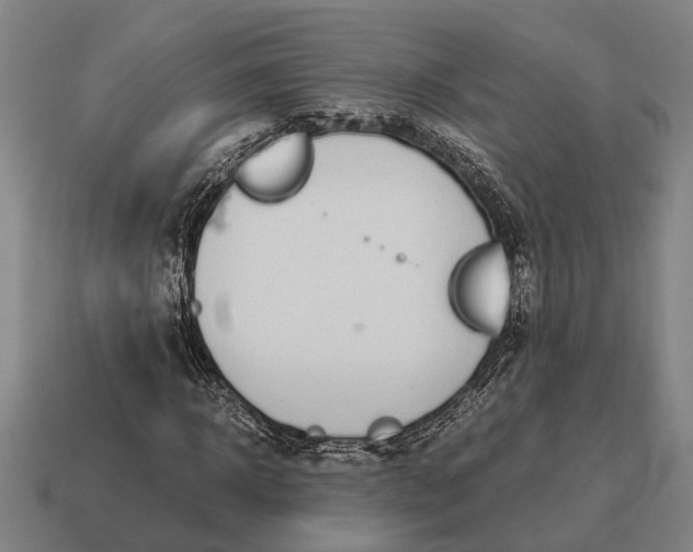 X0000115100918200911101541