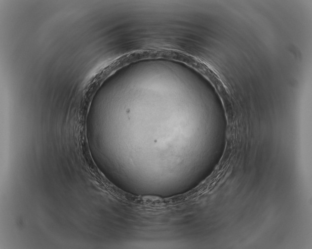 X0000115100919200911101541