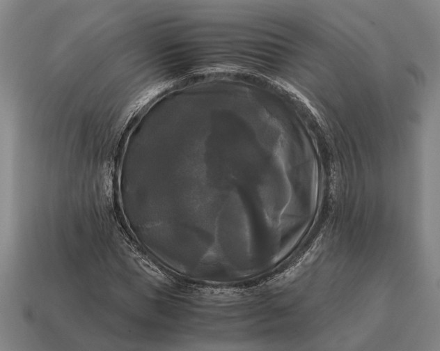 X0000115100921200911101541