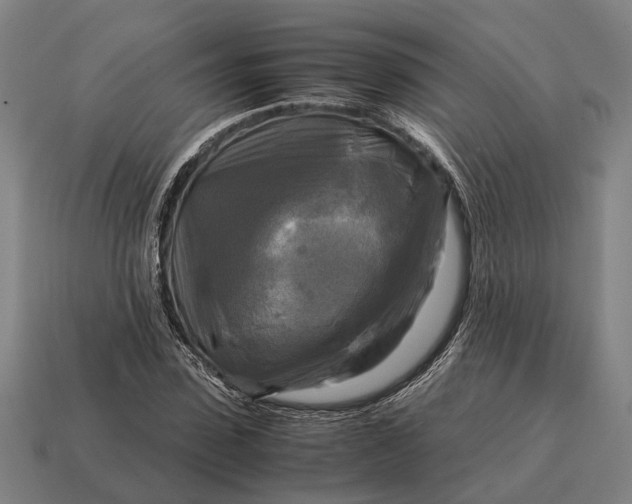 X0000115100923200911101541