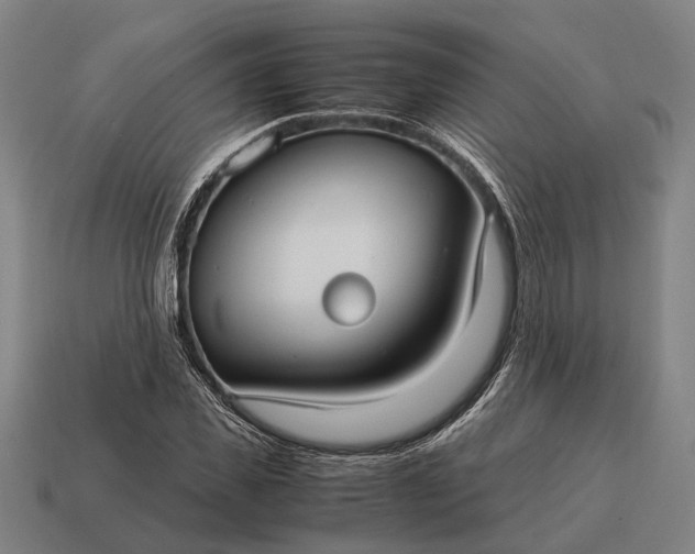 X0000115100925200911101541