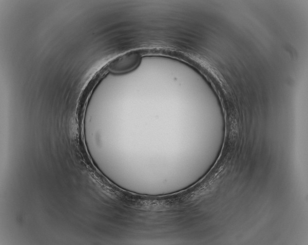X0000115100927200911101541