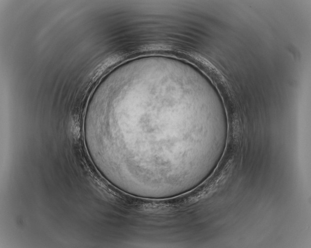 X0000115100929200911101542