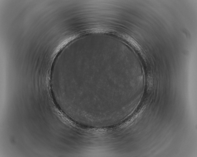 X0000115100930200911101542
