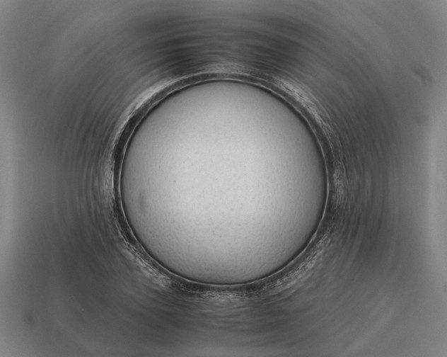 X0000115100931200911101542