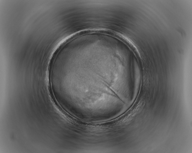 X0000115100935200911101542