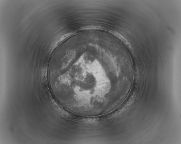 X0000115100937200911101542