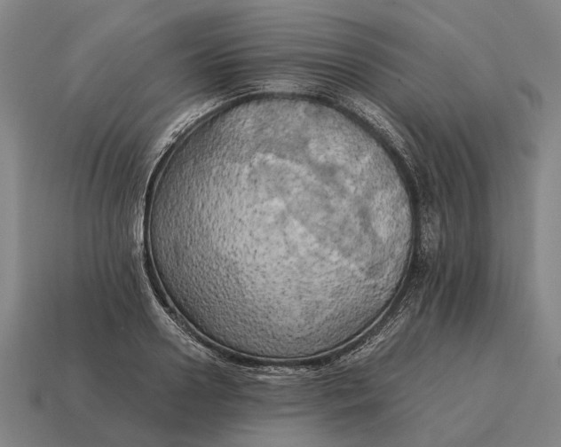 X0000115100938200911101542