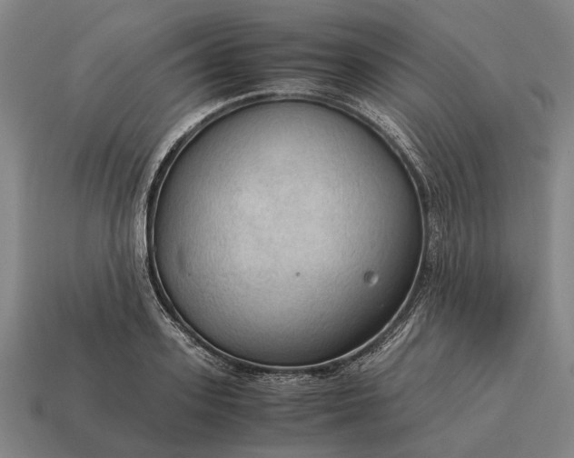X0000115100939200911101542