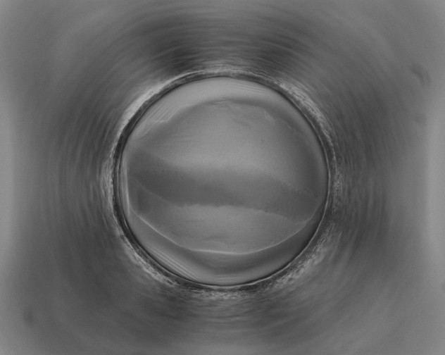 X0000115100941200911101542