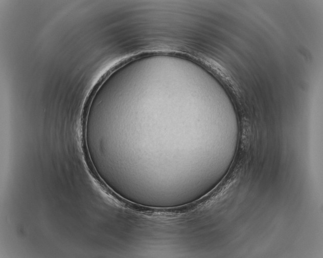 X0000115100942200911101542