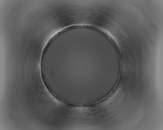 X0000115100943200911101542
