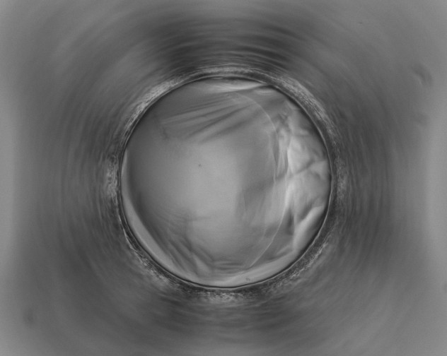 X0000115100945200911101542