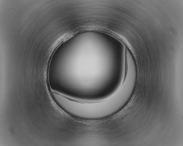 X0000115100946200911101542