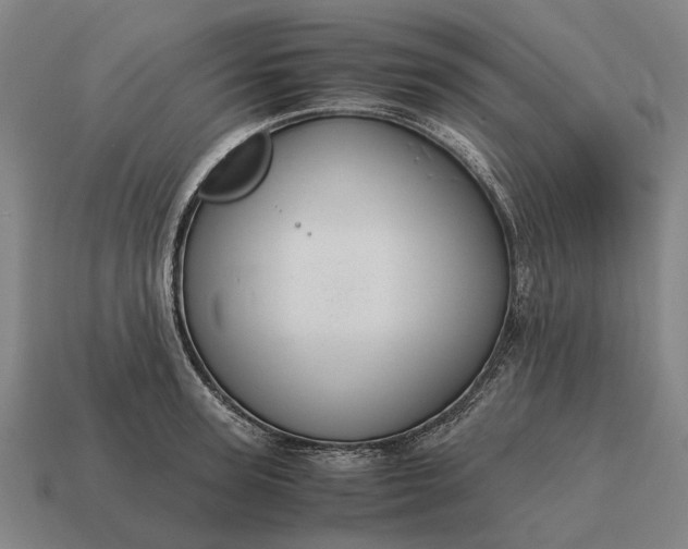 X0000115100947200911101542