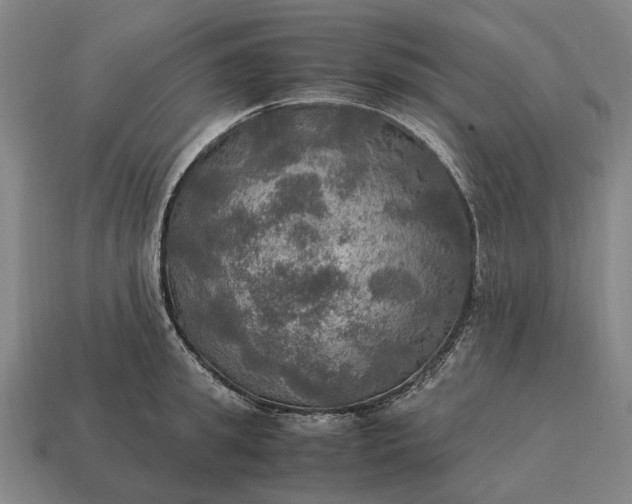 X0000115100949200911101542