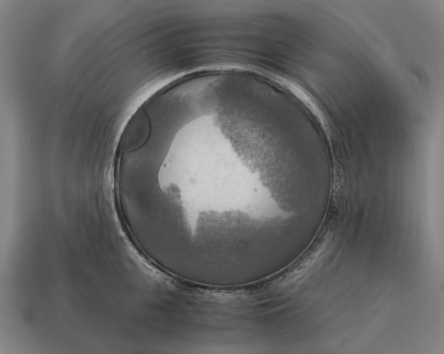 X0000115100951200911101542
