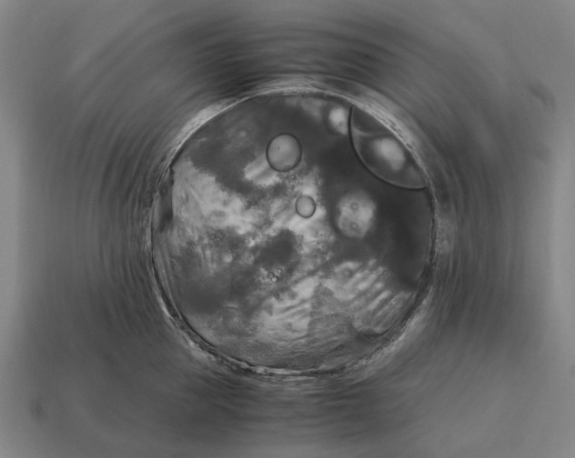 X0000115100953200911101542