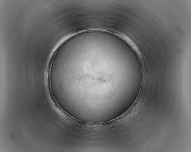 X0000115100955200911101542