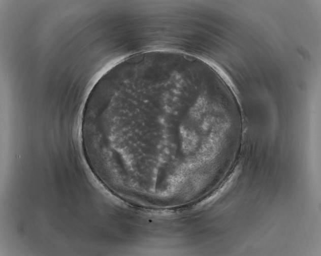 X0000115100957200911101542
