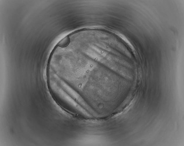 X0000115100959200911101542