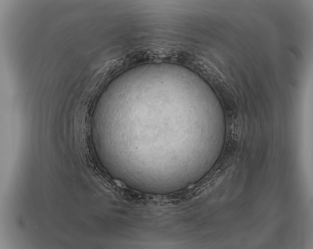 X0000115100961200911101541