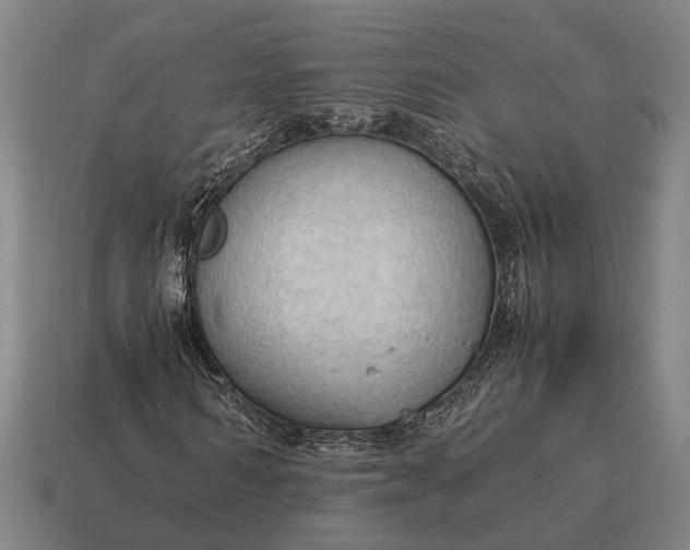 X0000115100962200911101541