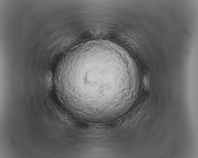 X0000115100963200911101541