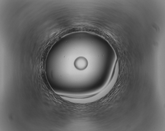 X0000115100965200911101541