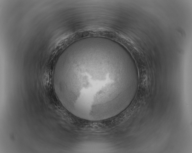 X0000115100966200911101541