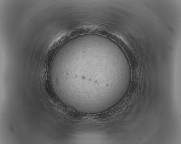 X0000115100967200911101541