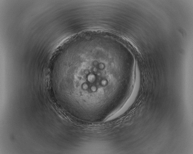X0000115100968200911101541